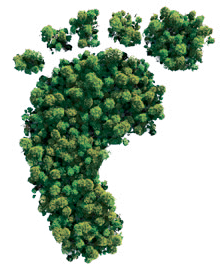 Footprint image