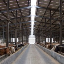 Kepak Farm