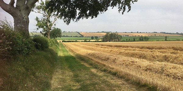 Dunleer