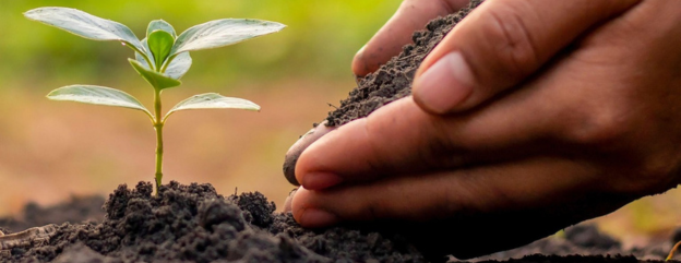 Enhancing Soil Biology