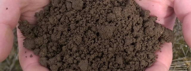 5 steps to soil fertility management