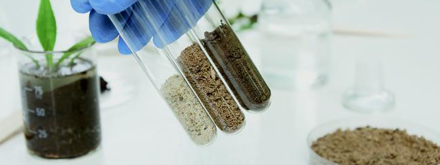 Soil Tests