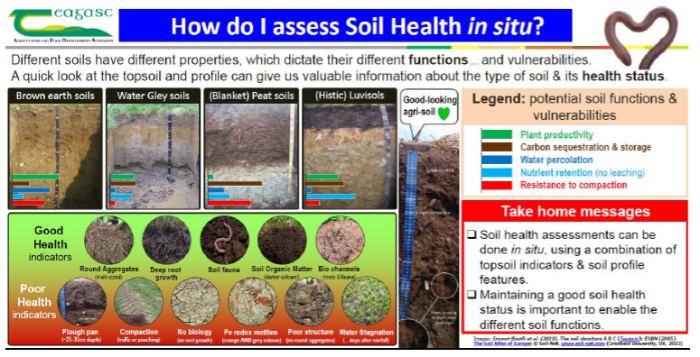visual assessment tools available