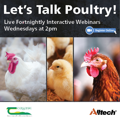 Let’s Talk Poultry