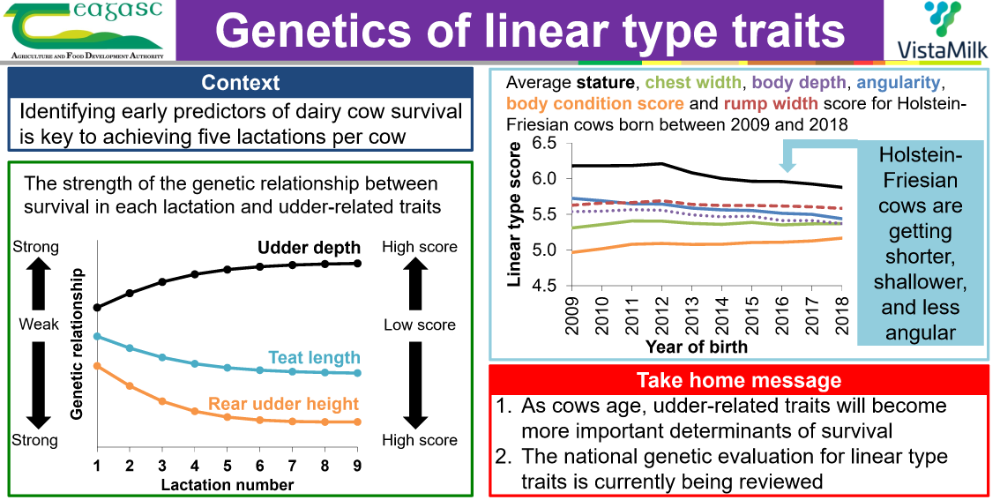 Genetics of linear type traits