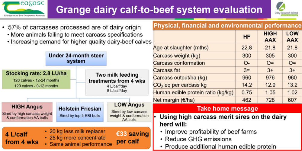 Grange dairy calf to beef system evaluation
