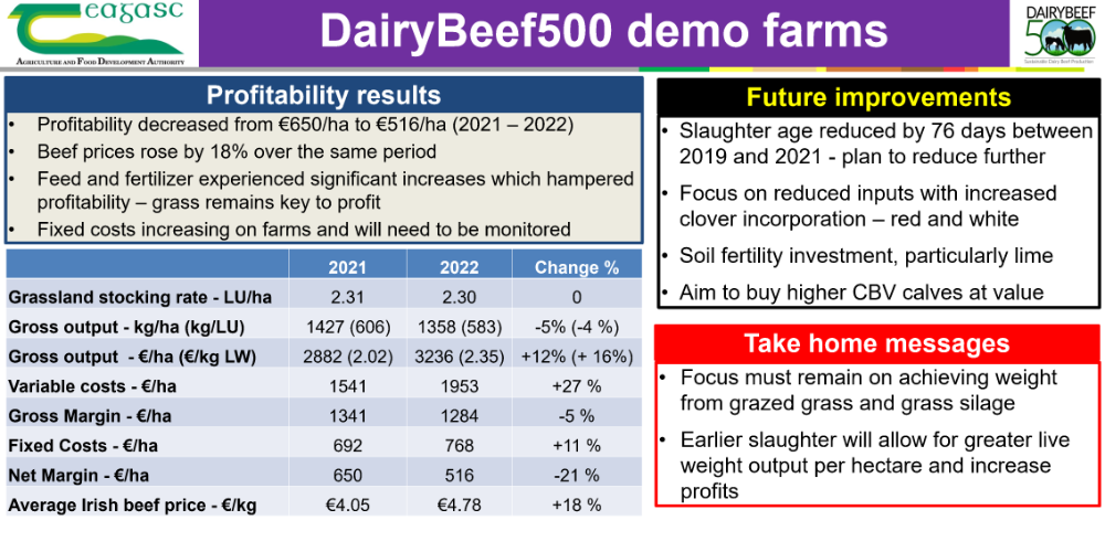 DairyBeef500 demo farms