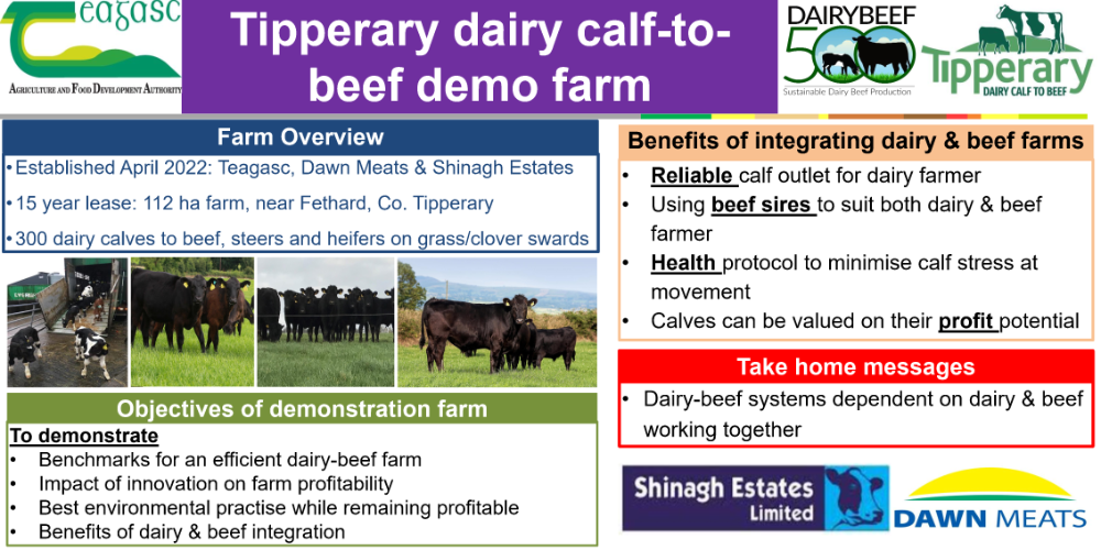 Tipperary dairy calf to beef demo farm