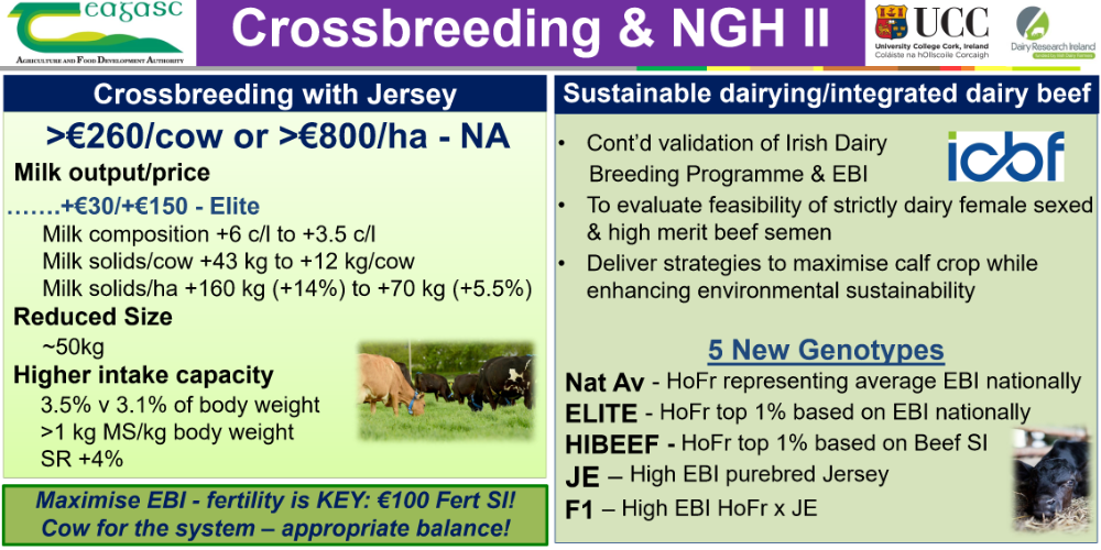 Next Generation herd Update 2