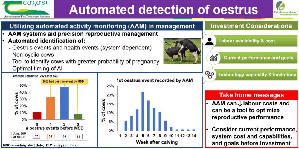 Automated detection of oestrus