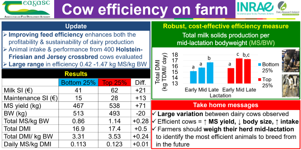 Cow efficiency on farm