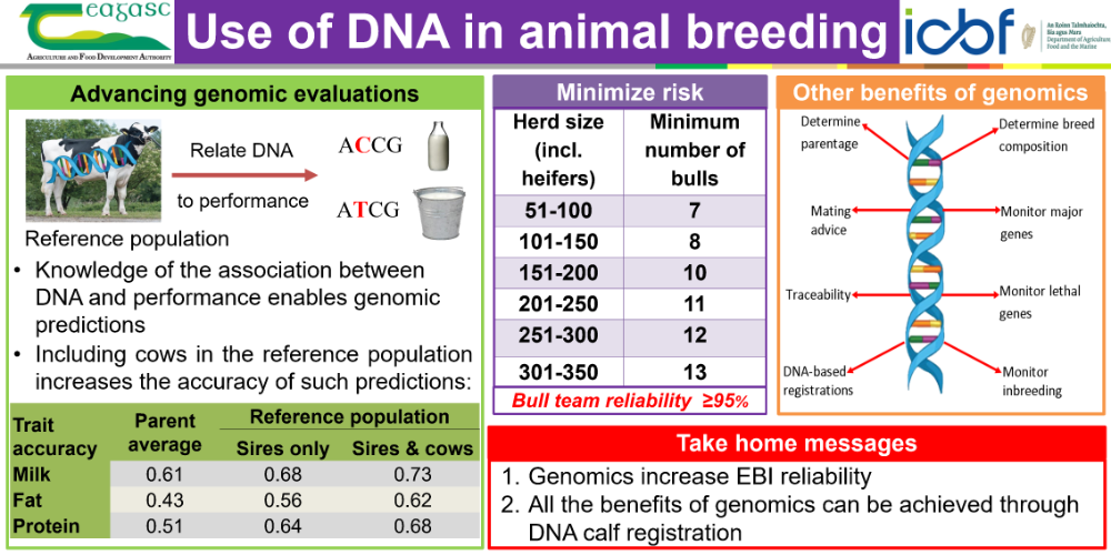Use of DNA in animal breeding