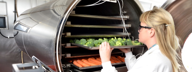 Food Industry Development