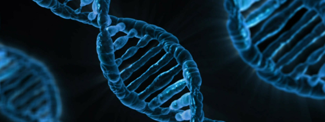 DNA Sequencing Facility