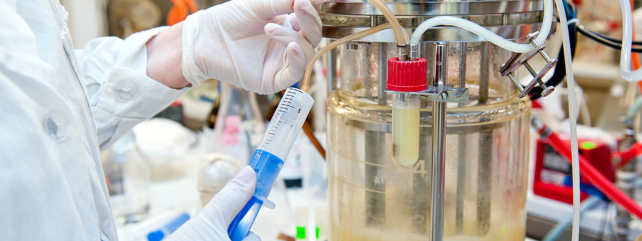 Bioprocessing and Fermentation Technologies