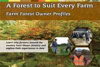 Teagasc launches – ‘A Forest to Suit Every Farm’ booklet