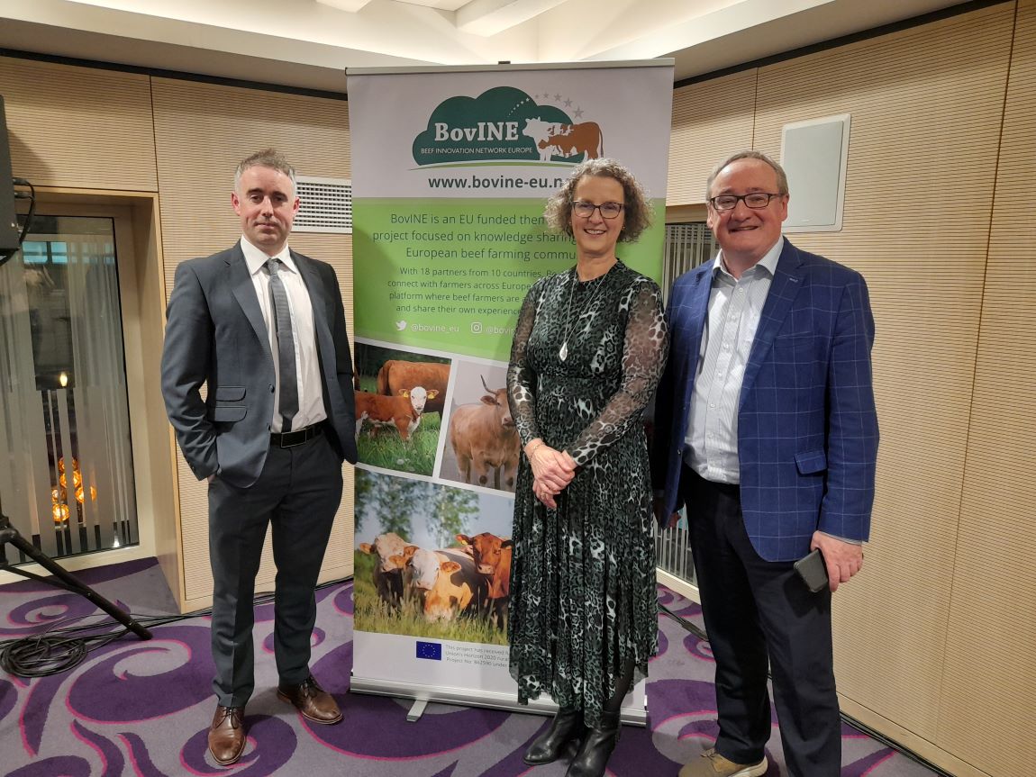 Beef farmers are willing agents of change to drive sustainability of the sector confirms BovINE 