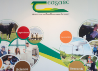 Alice Doyle appointed to Teagasc Authority