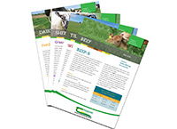 Tillage Newsletter – November 2020