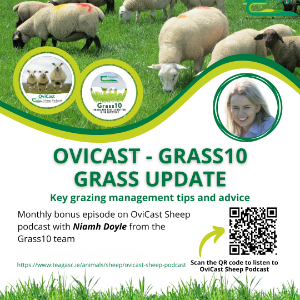 Grass10 October update for sheep farms