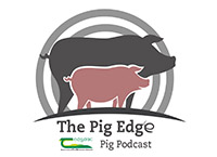 The benefits of using pig slurry in tillage farming