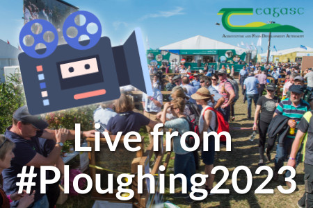 Food chemistry at the National Ploughing Championships