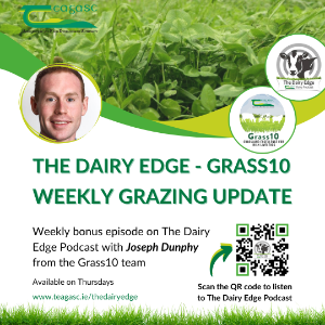 Listen: Managing grass supply and a preview of upcoming reseeding events