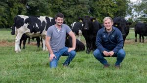 Exploring the opportunities in dairy beef