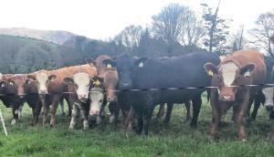 John Pringle: Preparations for winter silage after a challenging spring