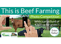 This is Beef Farming – Photo Competition