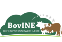 BovINE – European beef farmers learning from each other