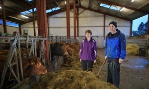 Breeding, Grassland, and Nutrition Update with Ed Curtain, Co. Cork