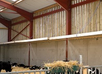 Converting existing sheds for calf housing