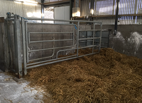 Investigate birth deformities in calves or lambs – DAFM