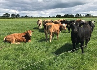 Reducing stress on your farm in 2025
