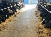 Charlie Smyth, DairyBeef 500 Farmer, Farm Update November 2022