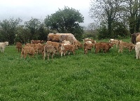 Top tips in advance of breeding season 2021