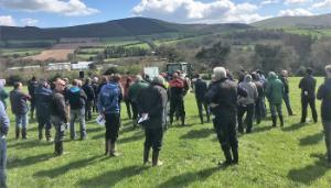 Autumn Beef Health Walks