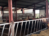 Watch: Housing for a part-time organic cattle enterprise