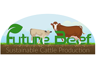 Watch: Achieving compact calving with Future Beef Farmer Shane Keaveney