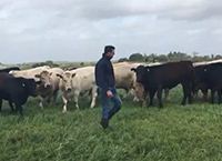 Biodiversity continues to be encouraged on Newford Farm