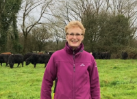 Sustainable practices on Kay O’Sullivan’s beef farm in Co. Cork