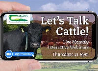 Let’s Talk Cattle 2021