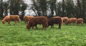 Preparing for the grazing season