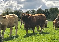 When should breeding season end?