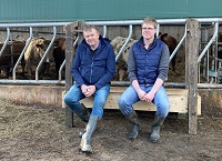 Selecting AI sires for autumn breeding on Future Beef farms