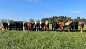 Diary date: Major open day at Newford