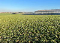 Newford Farm Update: March rain ceases grazing