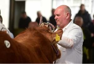 Best practice for animal health and performance over the winter