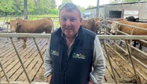 Shane Keaveney’s bull finishing system